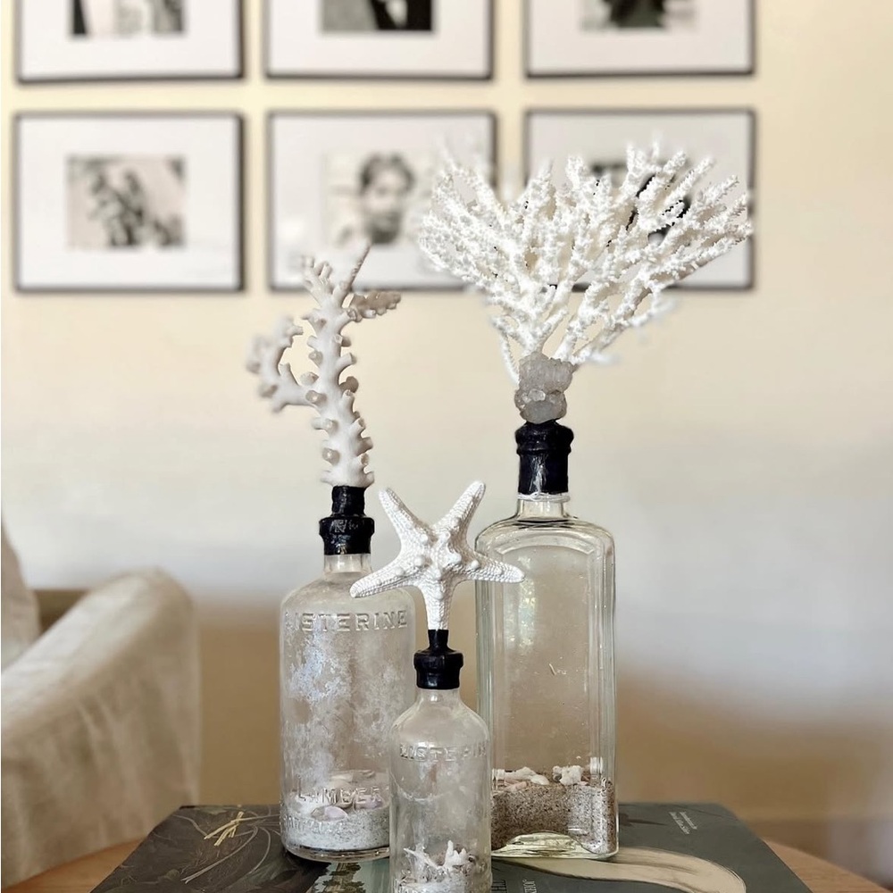 Elegant White Coral Decor Set